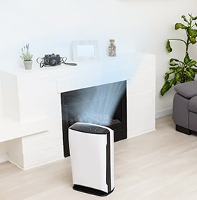 image for Dehumidifier